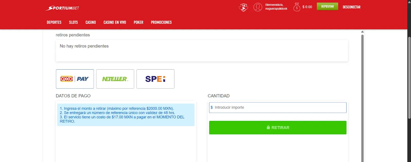 Página de caja del sitio mexicano en escritorio, con la fila de logotipos de medios de pago admitidos.